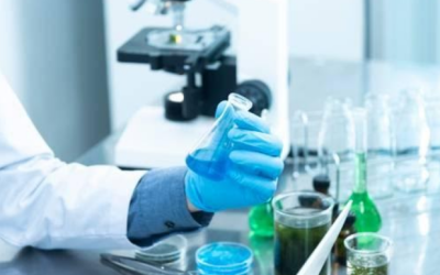 ALCOHOL TESTING BASICS: ITS PURPOSE AND TYPES