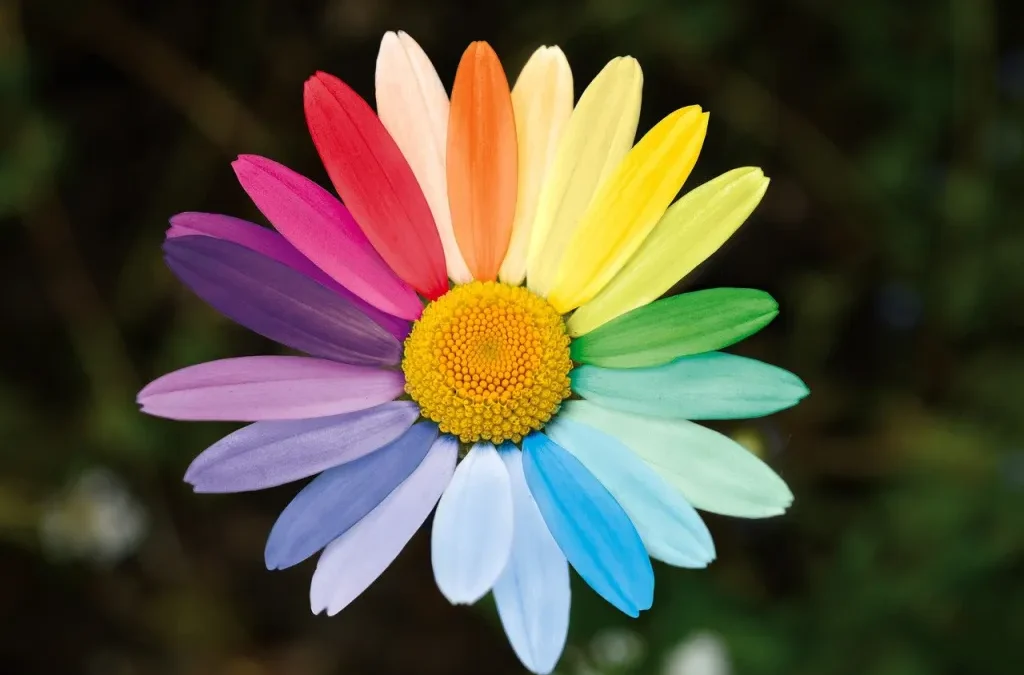 5 Tips to Successfully Recruit and Retain LGBTQ+ Employees