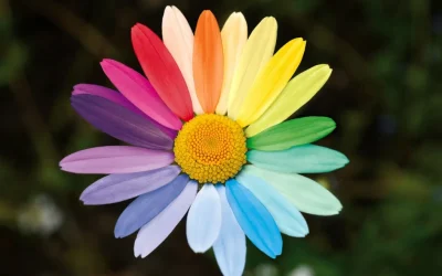 5 Tips to Successfully Recruit and Retain LGBTQ+ Employees